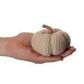 Knitted Decorative Pumpkins Set – Autumn Decor, 6 Pieces, 10cm & 8cm, Brown, Beige, Green | Floristik24.co.uk