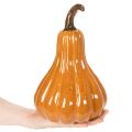Pumpkin-Shaped Ceramic Decoration, 26cm, Warm Orange | Floristik24.co.uk