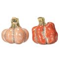 Pumpkin Set: Small decorative pumpkins for autumn decoration, 5cm, 3 pieces | Floristik24.co.uk