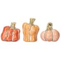 Floristik24 Pumpkin Set: Small decorative pumpkins for autumn decoration, 5cm, 3 pieces