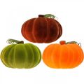 Floristik24 Deco pumpkin flocked mix orange, green, red autumn decoration 16cm 3pcs