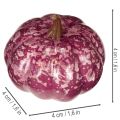 Mini Artificial Pumpkin Decoration Set for Autumn and Halloween, 4cm, Assorted Colors, 24 Pieces | Floristik24.co.uk