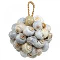 Floristik24 Maritime decoration ball sea snail shell ball natural decoration Ø12cm