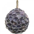 Floristik24 Shell ball Maritime decoration with shells Deco ball violet Ø12cm