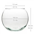 Floristik24 Ball vase glass vase clear round table vase flower vase Ø18cm H14cm