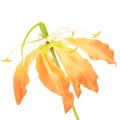 Artificial Gloriosa Flower