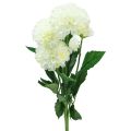 Floristik24 Artificial flowers decorative dahlias artificial white 50cm