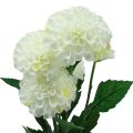 Floristik24 Artificial flowers decorative dahlias artificial white 50cm