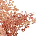 Floristik24 Artificial flowers decoration, decorative branches, branch decoration pink 44cm 3pcs