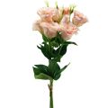 Floristik24 Artificial flowers Eustoma Lisianthus pink 52cm 5pcs