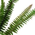 Floristik24 Artificial plant fern dark green 45cm