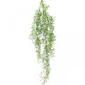 Floristik24 Artificial plant spring asparagus decorative branch connective green H108cm