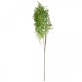 Floristik24 Artificial plant spring asparagus decorative branch connective green H108cm