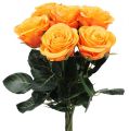 Floristik24 Art roses filled orange Ø6cm L37cm 6pcs
