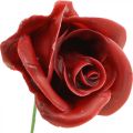 Artificial roses Bordeaux wax roses decorative roses wax Ø6cm 18 pcs | Floristik24.co.uk