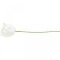 Artificial roses cream wax roses decorative roses wax Ø6cm 18 pcs | Floristik24.co.uk