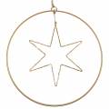 Floristik24 LED star in a decorative ring to hang in golden metal Ø30cm
