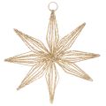 Floristik24 LED Wire Star Decoration with 20 Warm White LEDs, 22cm, Indoor Hanging Ornament