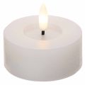 LED XL Tealight White Real Wax with Timer Warm White 6cm 2pcs | Floristik24.co.uk