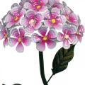 Floristik24 Solar flower, LED garden decoration, decorative chrysanthemum pink L55cm Ø15cm