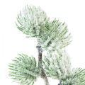 Floristik24 Artificial Larch Branch Green Decorative Branch Snow Covered L25cm