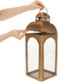 Lantern metal glass metal brass look H50cm set of 2 | Floristik24.co.uk