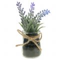 Floristik24 Lavender in a jar H15cm