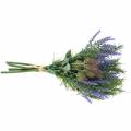 Floristik24 Herb bundle lavender, rosemary, thistle 40cm