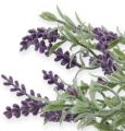 Floristik24 Decorative lavender bush 25cm