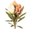Floristik24 Artificial Protea Leucadendron Flower with Long Stem 65cm, Set of 3 in Cream, Yellow, and Orange