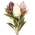 Floristik24 Artificial Protea Leucadendron Flowers, 100cm, 3 Stems, Cream, Burgundy, Pink