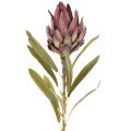 Artificial Protea Leucadendron