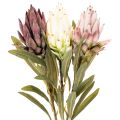 Artificial Protea Leucadendron