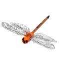 Floristik24 Dragonflies on the clip 6,5cm x 8,5cm 12pcs