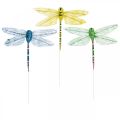 Floristik24 Summer decoration, dragonflies on wire, decorative insects yellow, green, blue W10.5cm 6pcs