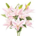 Artificial Lily Stems 68cm