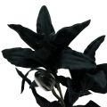Floristik24 Artificial flower lily black 84cm