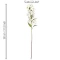 Artificial White Lily Stem with Long Flowers 80cm | Floristik24.co.uk
