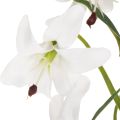 Artificial White Lily Stem with Long Flowers 80cm | Floristik24.co.uk