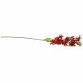 Floristik24 Lily red 82cm