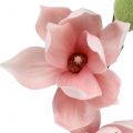 Floristik24 Magnolia artificial light pink 70cm