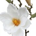 Floristik24 Magnolia white artificial flower with buds on decorative branch H40cm