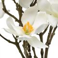 Floristik24 Artificial magnolia branches white deco branch H40cm 4pcs in bunch