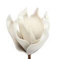 Floristik24 Magnolia blossom made of foam gray, white Ø10cm L26cm 4pcs