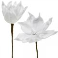 Floristik24 Artificial magnolia white artificial flower on a stick Ø10cm Foam 6pcs