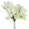 Floristik24 Magnolia bunch white 40cm 5pcs