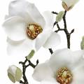 Floristik24 Magnolia branch white Decorative branch magnolia artificial flower