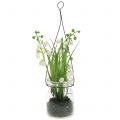 Floristik24 Lilies of the valley in glass for hanging H22cm