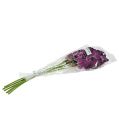 Floristik24 Mokara orchid purple 50cm artificial 6pcs