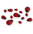 Floristik24 Deco ladybug for gluing 1-2.5cm red 255p